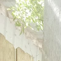 moonlitcassie`s avatar