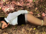 in the woods